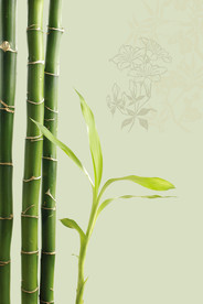 中国风 水墨 喜庆背景