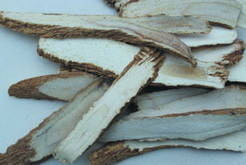 白芷   香料   食物原料