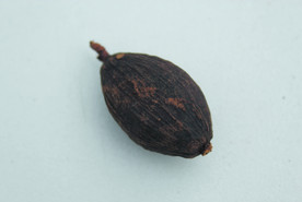 草果   香料  食物原料