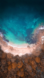 海边