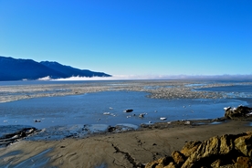 大海