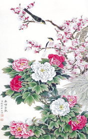 牡丹国画