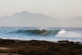 海