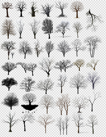 单色黑色树剪影大全