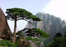 黄山