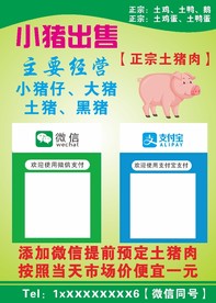 土猪 猪 出售土猪 猪仔 黑猪