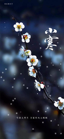 小寒节气海报