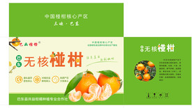 橘子纸箱