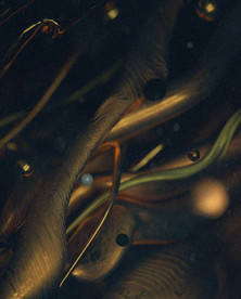 C4D模型分子原子细胞组织结构