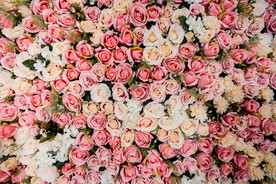 花墙素材 花墙背景 花瓣墙