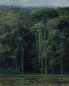 自然景观