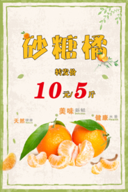 砂糖橘