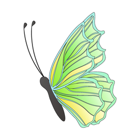 卡通绿色的蝴蝶插画