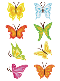 一组美丽的蝴蝶插画