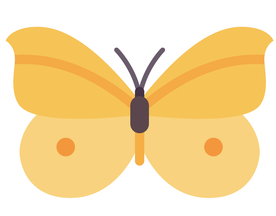 卡通黄色蝴蝶插画