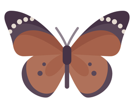 棕色蝴蝶插画
