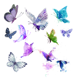 展翅蝴蝶卡通插画