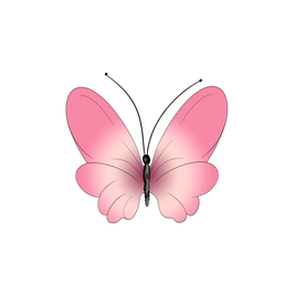 粉色卡通蝴蝶插画