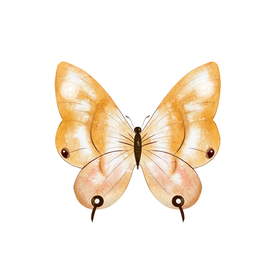 黄色卡通蝴蝶插图