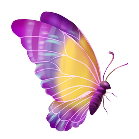 展翅蝴蝶卡通插画