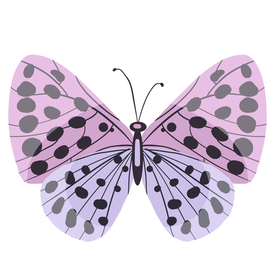 卡通蝴蝶插画图片