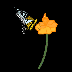 蝴蝶与花朵插画