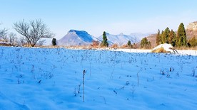 小石屋蜂谷
