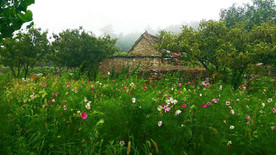 小石屋蜂谷