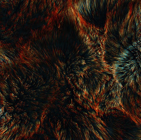 C4D模型动物皮毛毛发