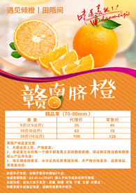 橙子海报