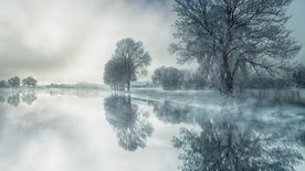 水城