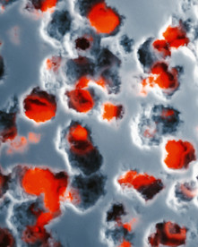 C4D模型 原子病毒粒子质子