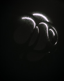 C4D模型 细菌病毒粒子质子