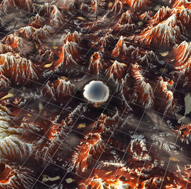 C4D模型山体石头表面