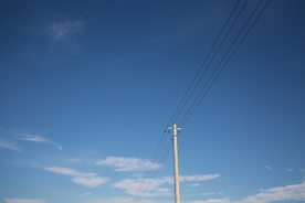 电线杆