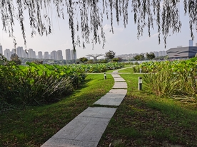 泰州天德湖公园