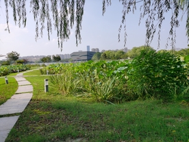 泰州天德湖公园