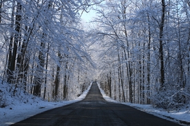 道路