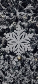 雪花图片