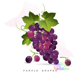 葡萄