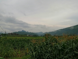 乡村雨后的傍晚