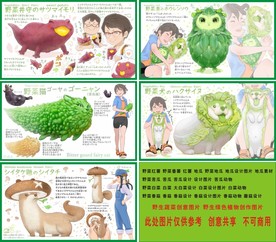 野生蔬菜设计 蔬菜设计图片