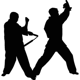 武术格斗剪影