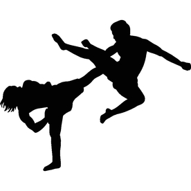 武术格斗剪影
