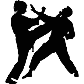 武术格斗剪影