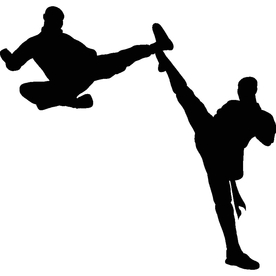 武术格斗剪影
