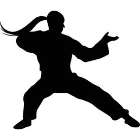 武术格斗剪影