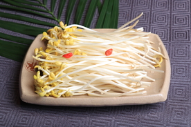 豆芽