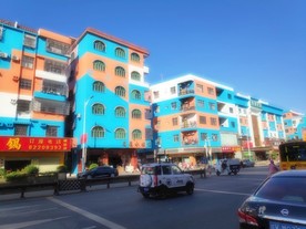 冬日的一抹艳色