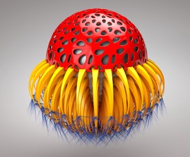 C4D模型 卡通科幻水母